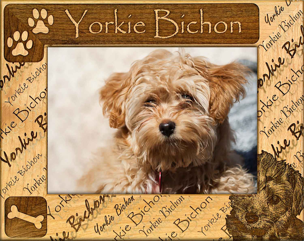 Yorkie Bichon - Dog Frame