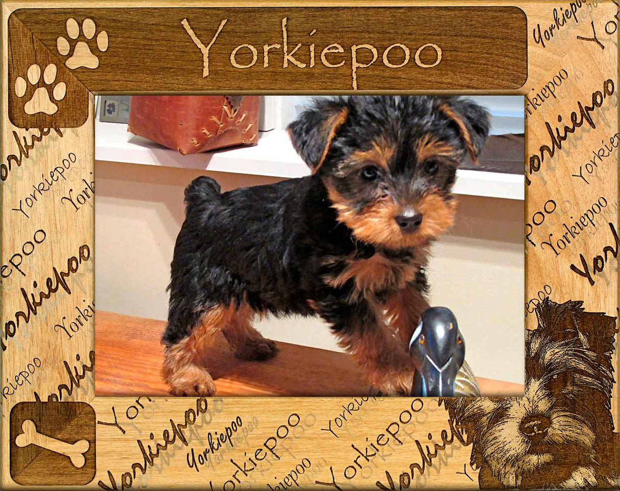 Yorkiepoo - Dog Breed Picture Frame