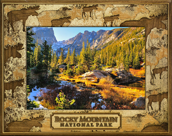 Rocky Mountain National Park Moose Scattered Picture Frame