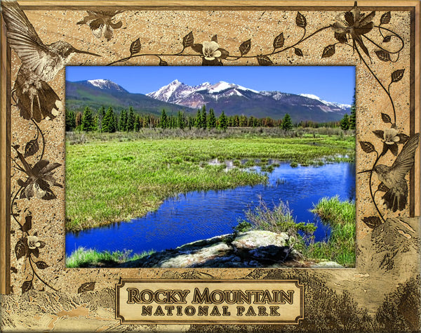 Rocky Mountain National Park Hummingbirds and Flowers Picture Frame