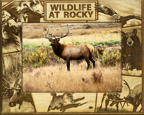 Rocky Mountain Wildlife Photo Collage Picture Frame