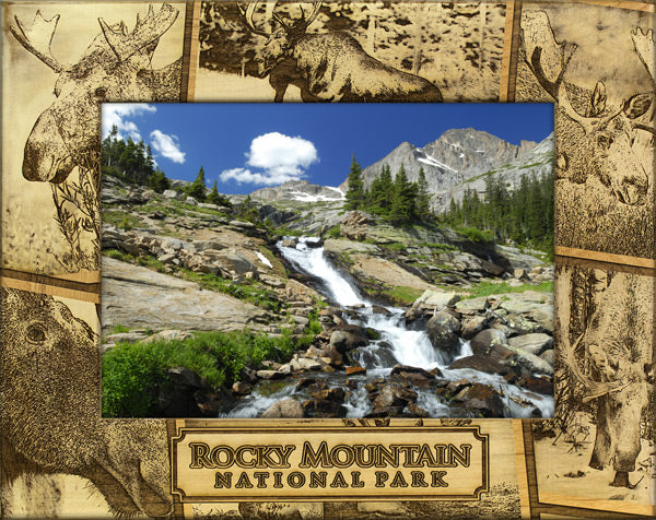 Rocky Mountain National Park Moose Photo Collage Picture Frame