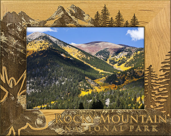 Rocky Mountain National Park Moose Photo Frame