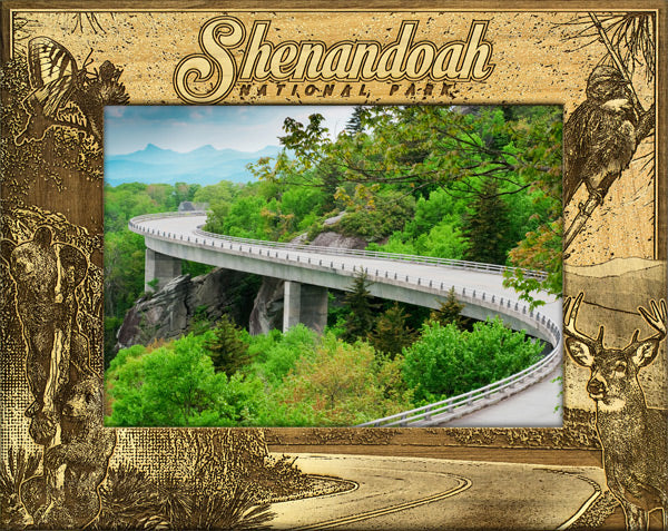 Shenandoah National Park Road and Wildlife Photo Frame