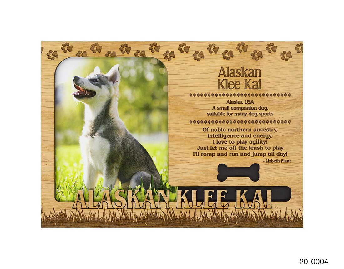 Alaskan Noble Companion Dog Temperament 25 Small Dog Breeds PetMD