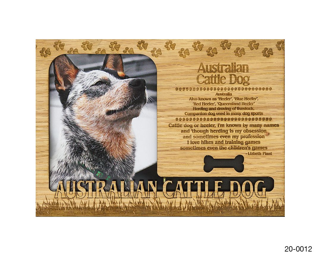 Australian Cattle Dog