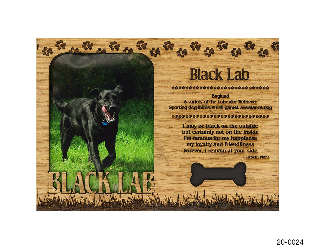 Black Lab