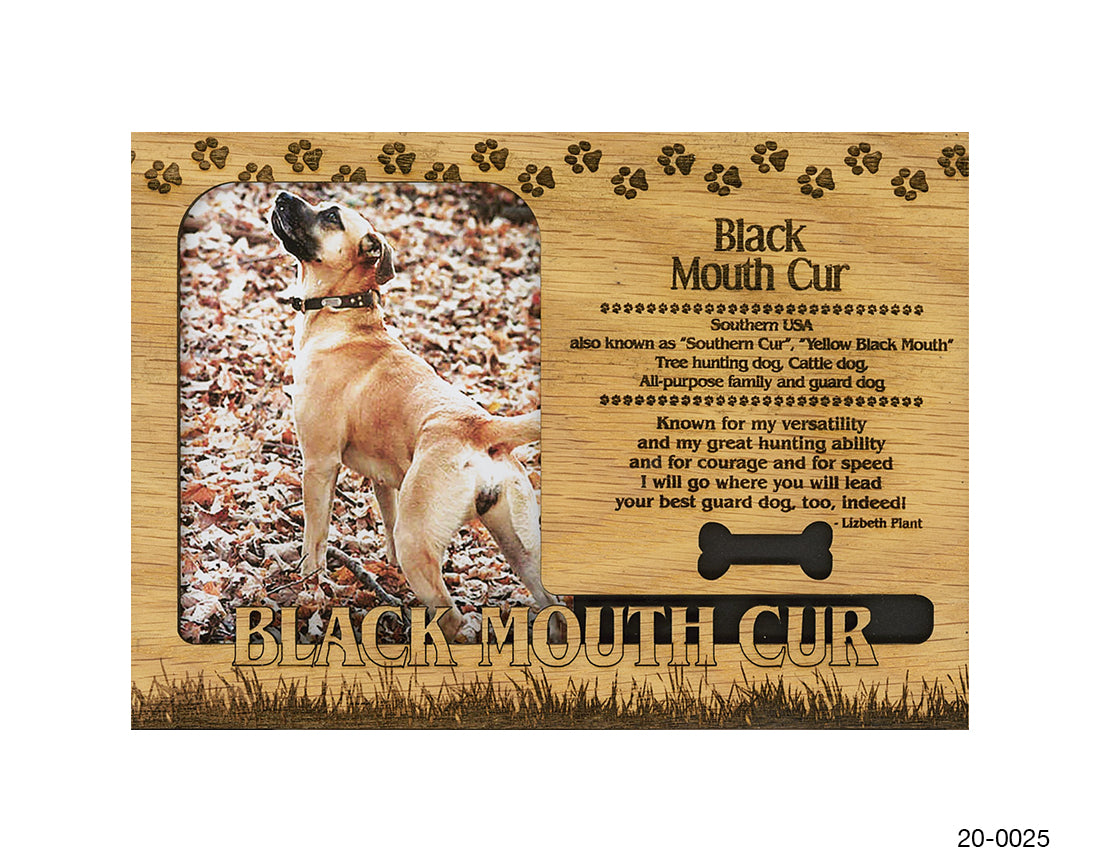 Black Mouth Cur