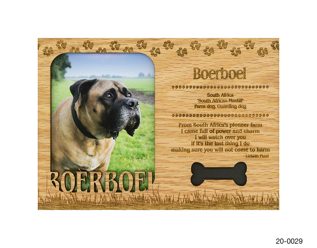 Boerboel