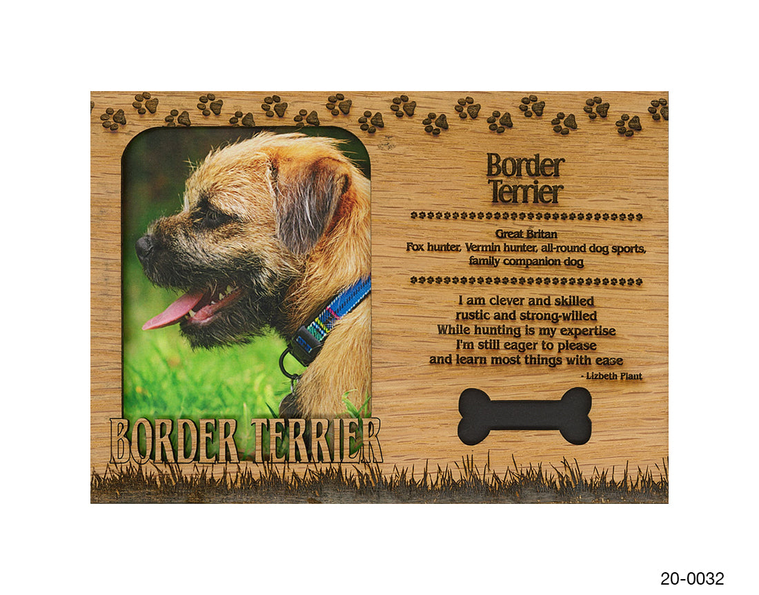 Border Terrier