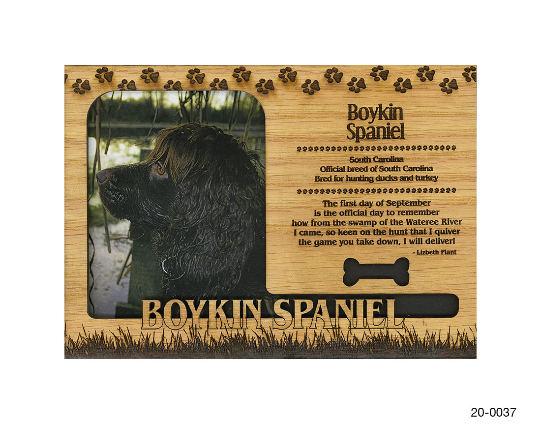 Boykin Spaniel