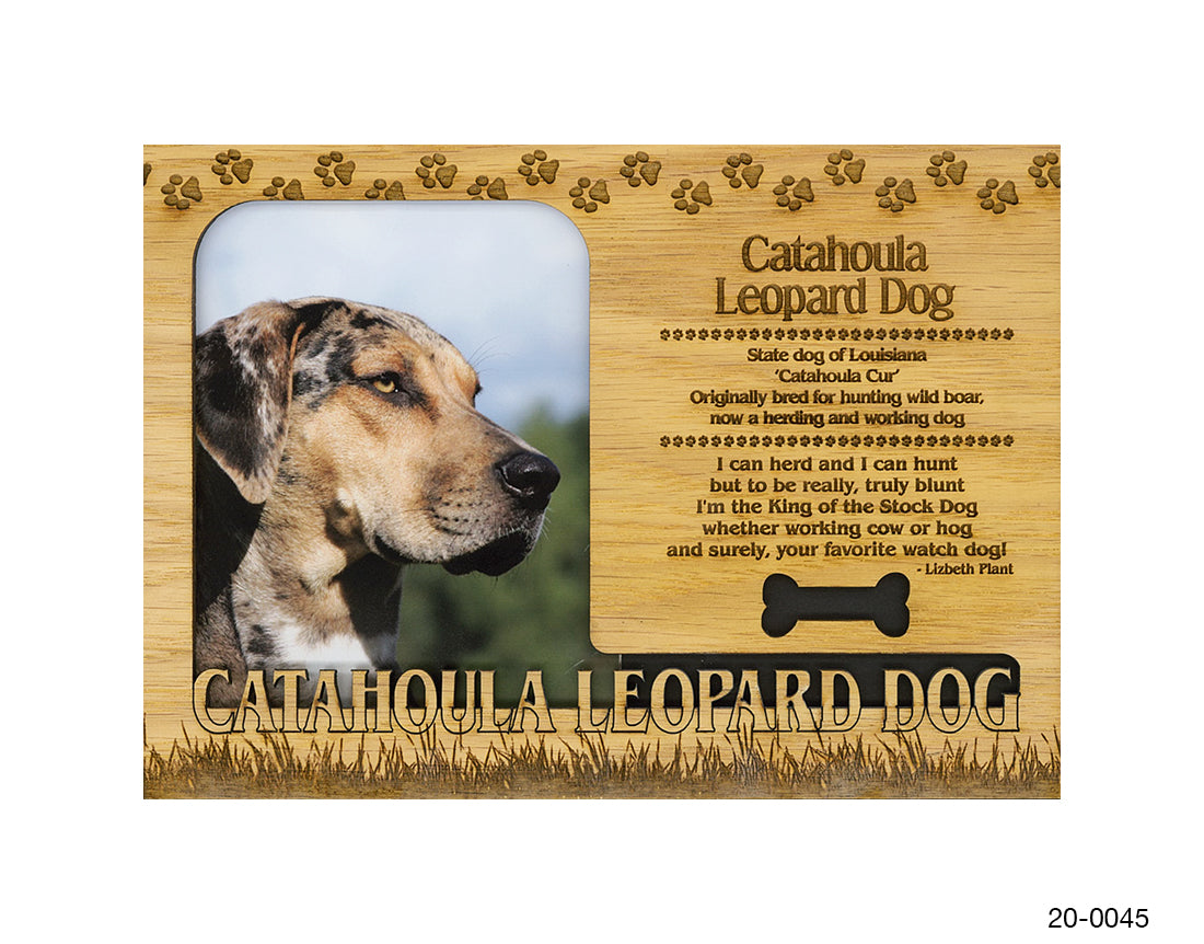 Catahoula Leopard Dog