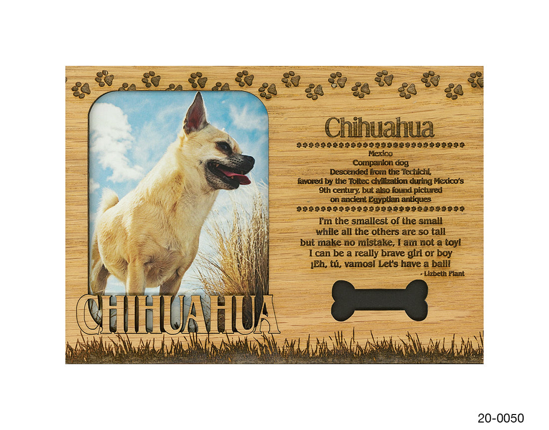 Chihuahua