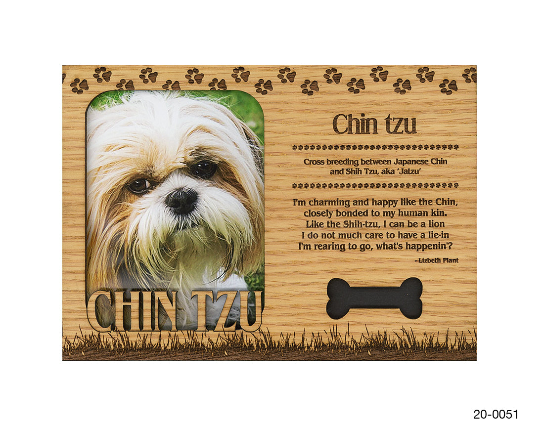 Chin Tzu