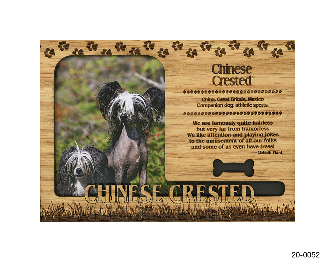 Chinese Crested