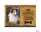 Collie