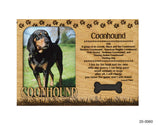 Coonhound