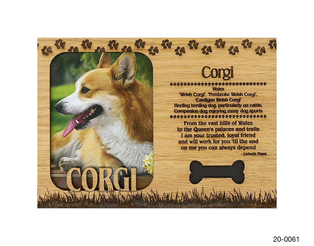 Corgi