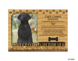 Curly Coated Retriever