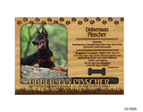 Doberman Pinscher