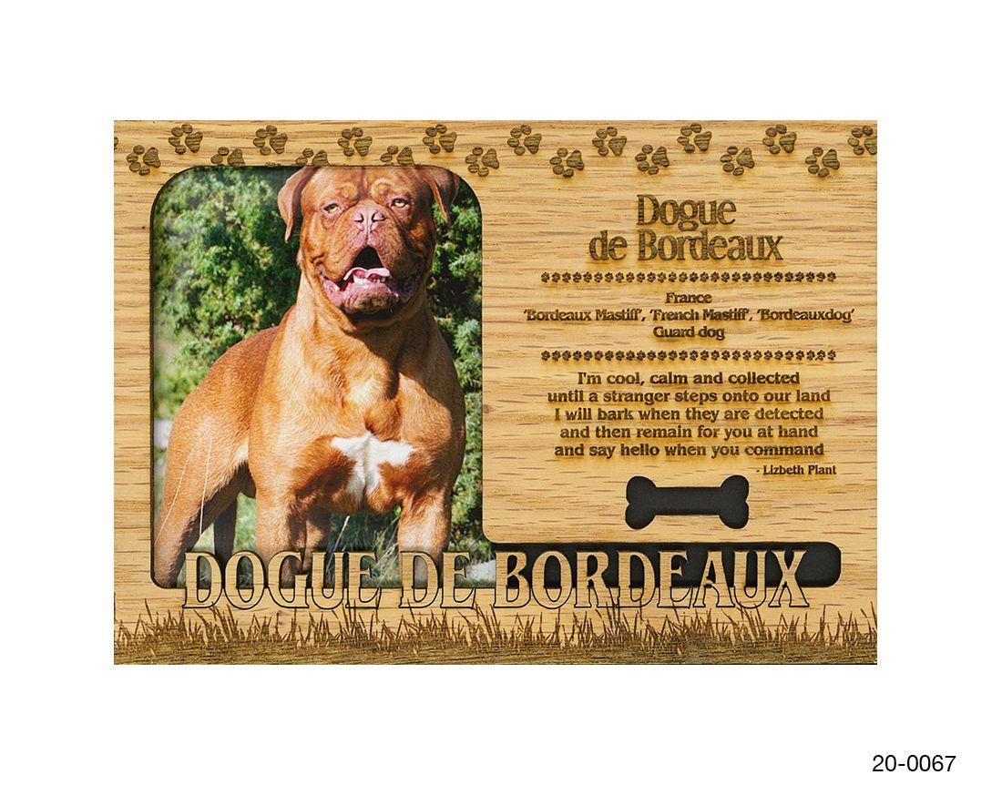 Dogue de Bordeaux