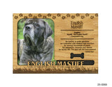 English Mastiff