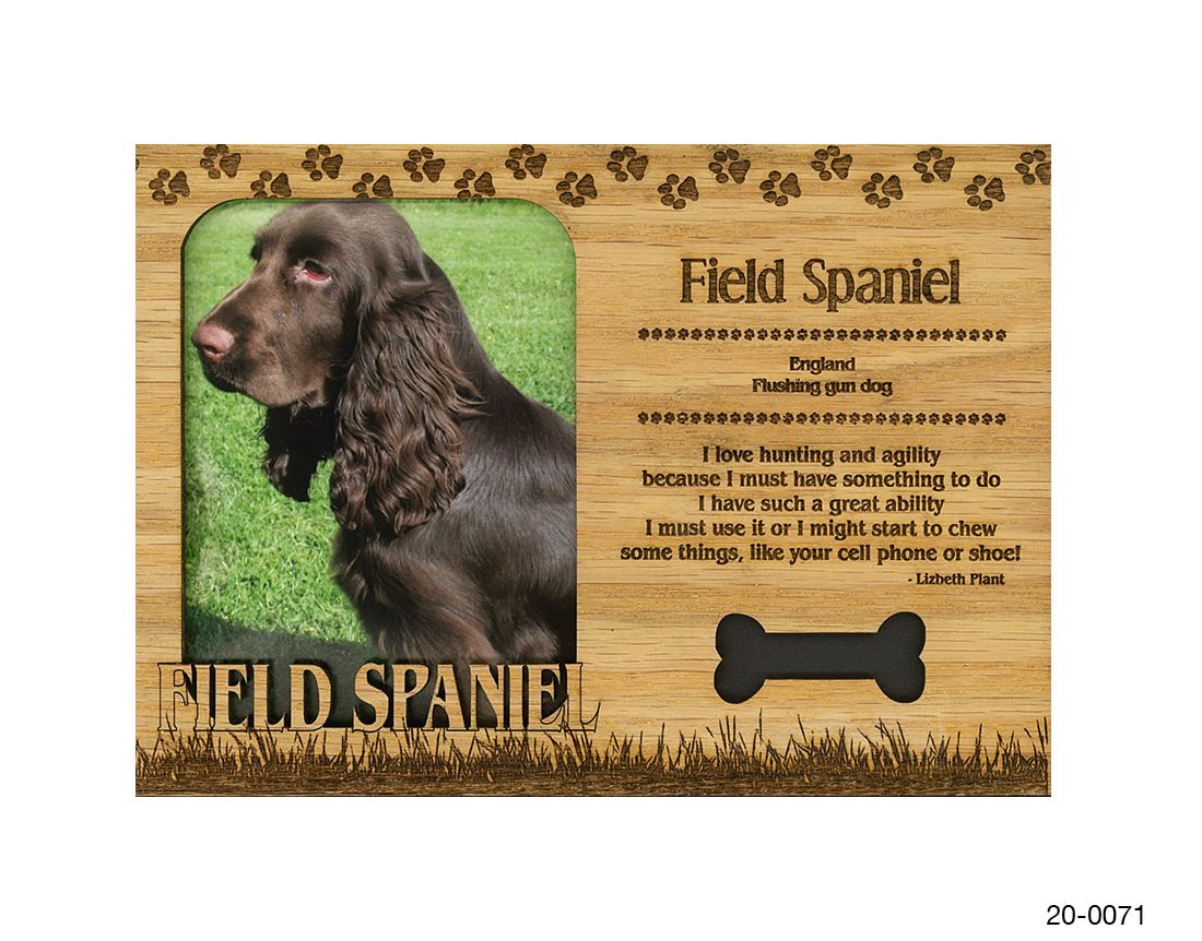 Field Spaniel