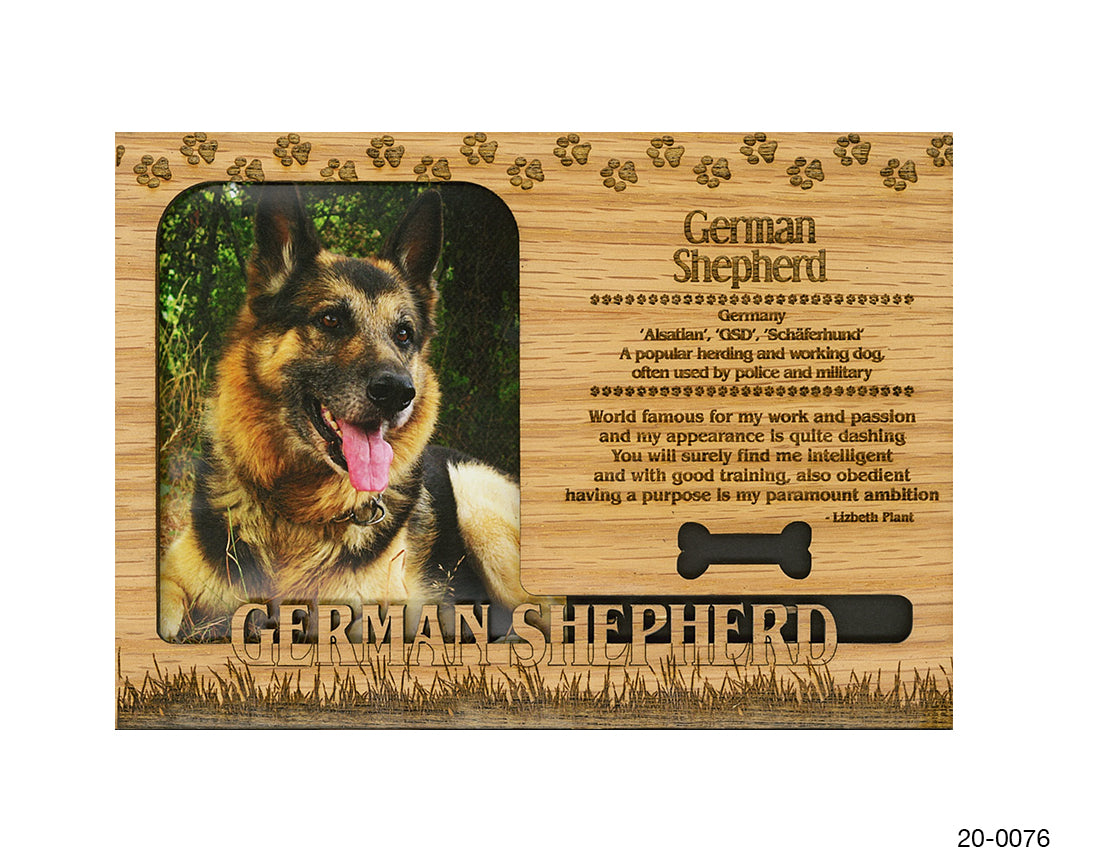 German Shepherd