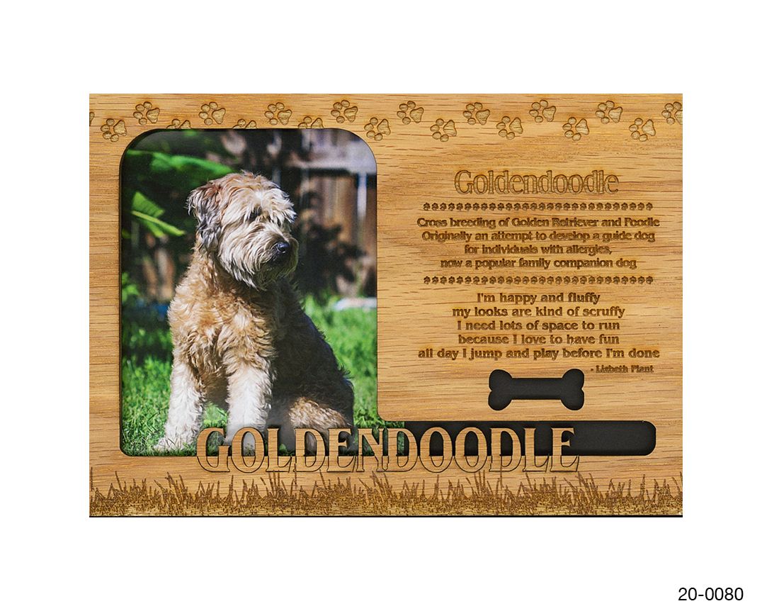 Goldendoodle