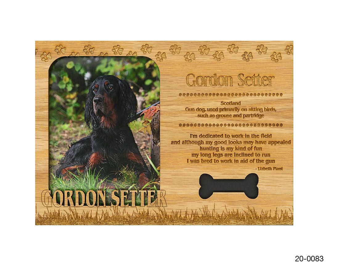 Gordon Setter