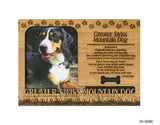 Greater Swiss Mountain Dog