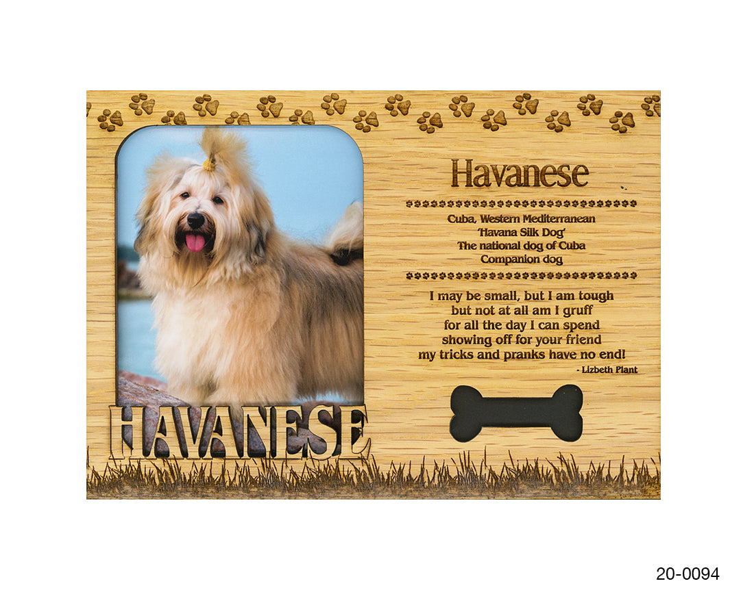 Havanese