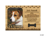 Jack Russell