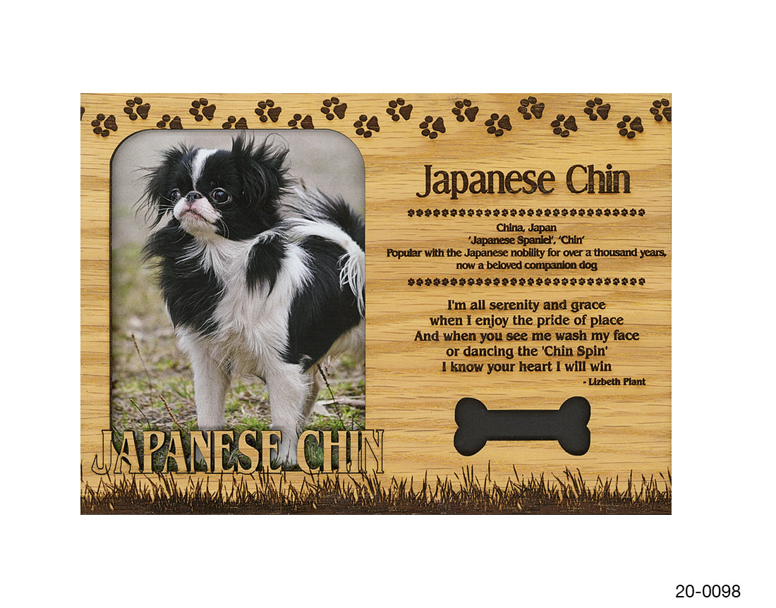 Japanese Chin