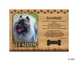 Keeshond