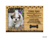 Lhasa Apso