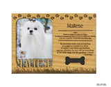 Maltese