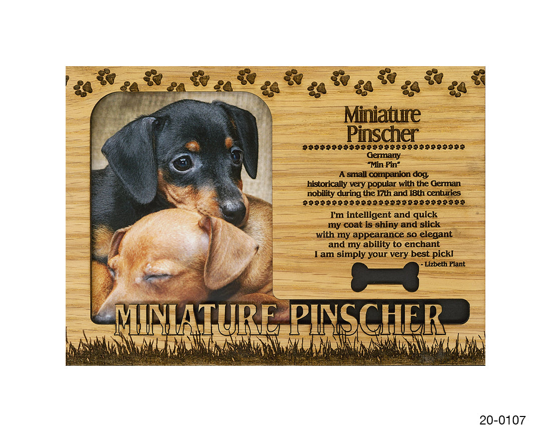 Miniature Pinscher