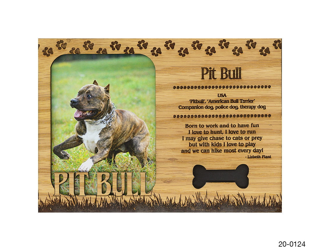 Pit Bull