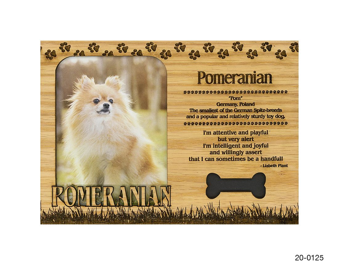 Pomeranian