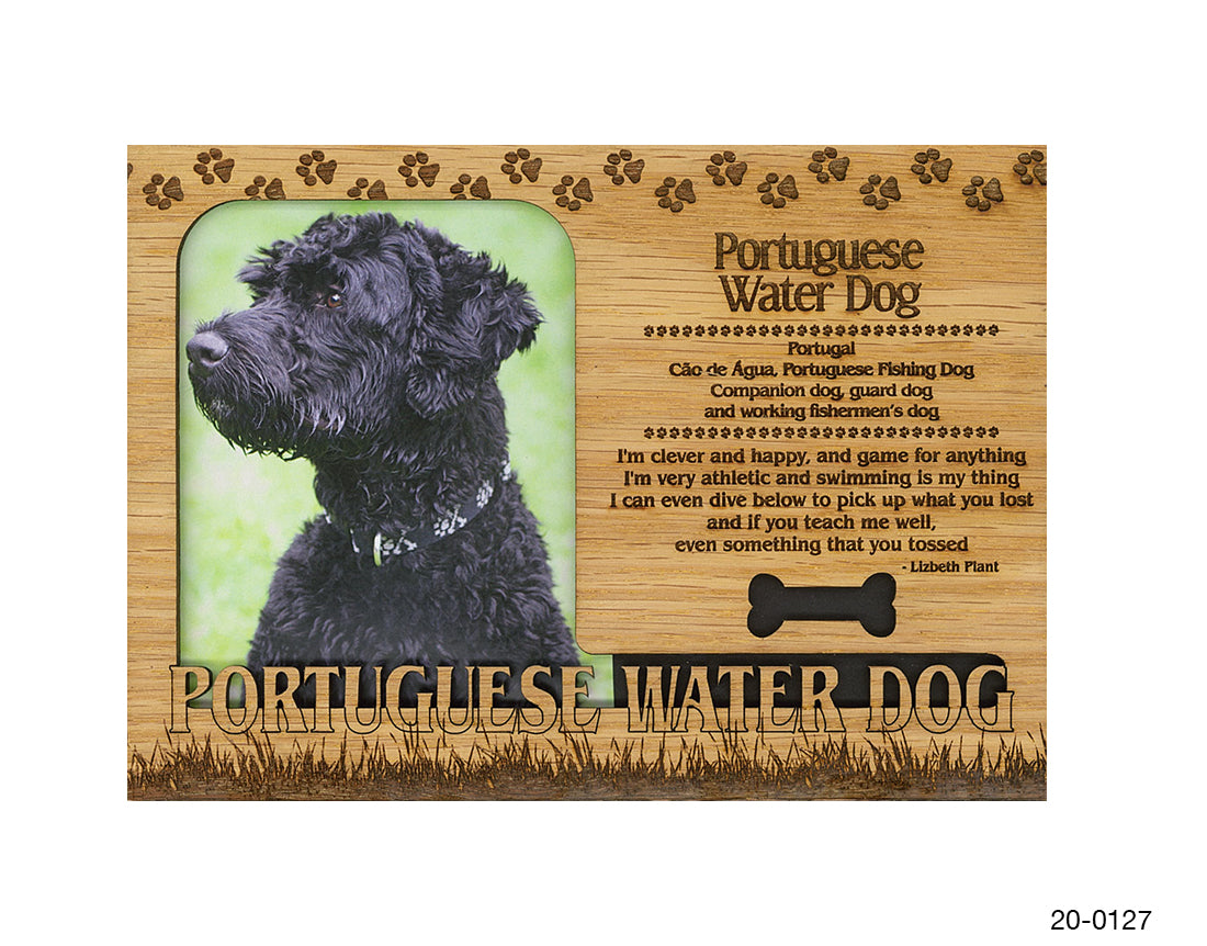 Portuguese Water Dog