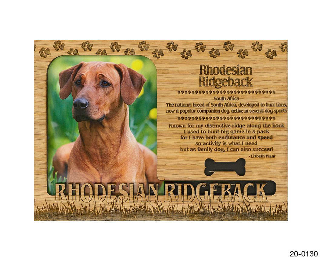 Rhodesian Ridgeback