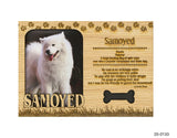 Samoyed