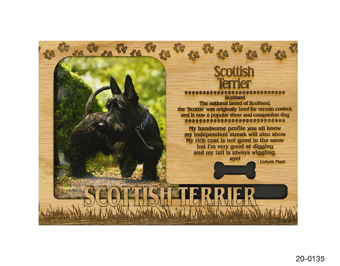 Scottish Terrier