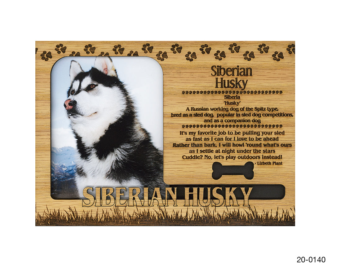 Siberian Husky