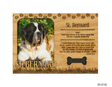 St. Bernard