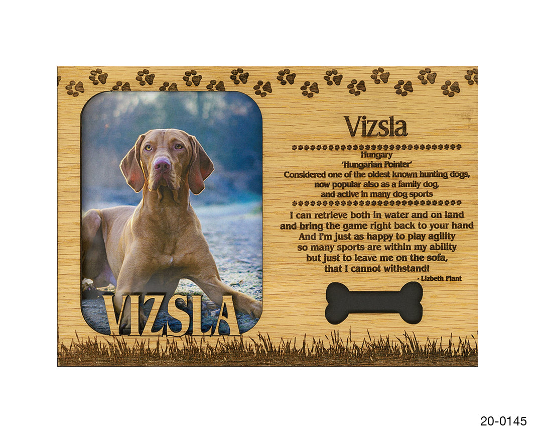 Vizsla