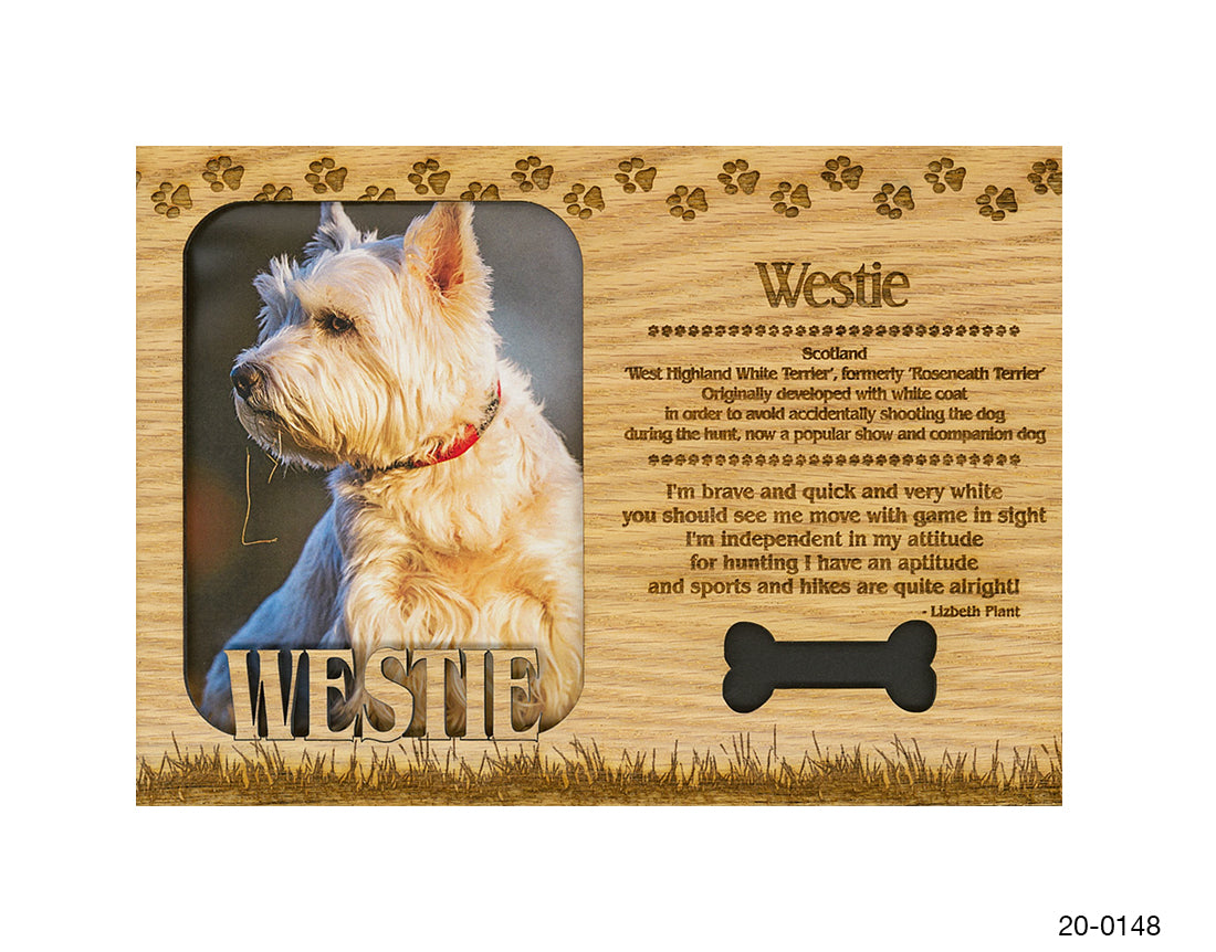 Westie