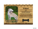 Whippet