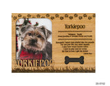 Yorkiepoo